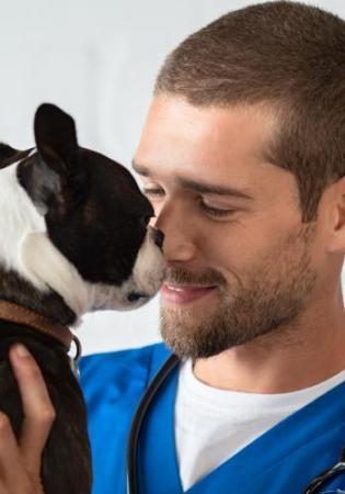 veterinarian with canine 