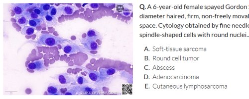 cell question